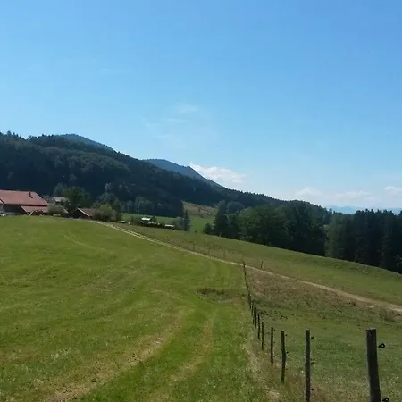 Richter 2 Comfortable